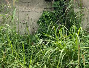 Land for sale Royal Garden Estate Ajiwe Ajah Lagos