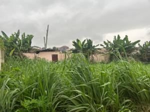 Land for sale Brooks Estate Magodo Kosofe/Ikosi Lagos