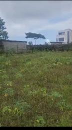 Land for sale Eleko Ibeju-Lekki Lagos