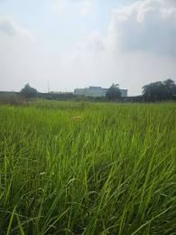 Land for sale Behind Emmy Hotel, Lakowe Golf, Ibeju Lekki Ajah Lagos