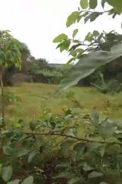 Land for sale Alatise Ibeju-Lekki Lagos