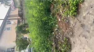 Land for sale Carlton Gate Estate Chevron Drive Lekki Lagos