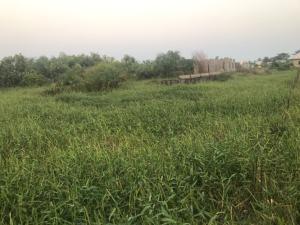 Land for sale Eleko Beach Road, Lekki Epe, Close To Amen Estate Epe Lagos