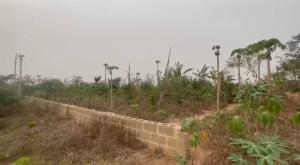 Land for sale Owode Gra, Apata Ibadan Oyo