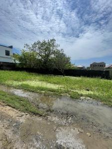 Land for sale Off Mobil Road Behind Mega Chicken Ikota Ilaje Ajah Lagos