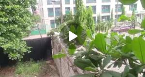 Land for sale Agidingbi Ikeja Lagos