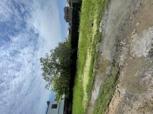 Land for sale Off Mobil Road Behind Mega Chicken, Ilaje Ajah Lagos