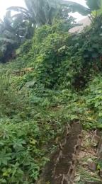 Land for sale Holy Rosary School Off Port Harcourt Road Owerri Imo