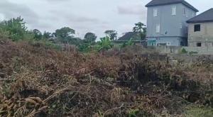 Land for sale Ajayi Apata Besides Fara Park Estate Lekki Epe Express Way Sangotedo Ajah Lagos