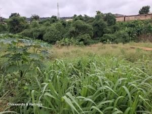 Land for sale Enugu Enugu