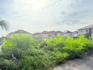 Land for sale Carlton Gate Estate, Chevron Drive Lekki Lagos