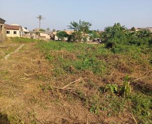 Land for sale Sawo Is Directly Opposite 2nd Gate Akobo Ibadan Oyo