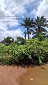 Land for sale Umuodu, Spibat, Owerri Imo