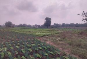 Land for sale Tejuosho, Yaba, Lagos Yaba Lagos