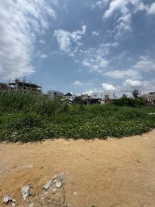 10 bedroom Land for sale Amore Street Freedom, Freedom Way Lekki Lagos