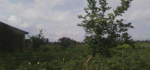 Land for sale Nyanya, Abuja Nyanya Abuja