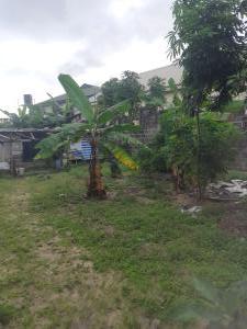 Land for sale Goodnews Estate Sangotedo Ajah Lagos