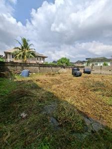 Land for sale Greenfield Estate Ago palace Okota Lagos