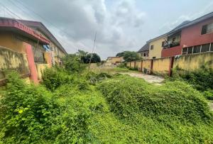 Land for sale  Surulere Lagos