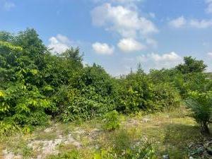 Land for sale Mopo 1 Okun Ajah Ajah Lagos