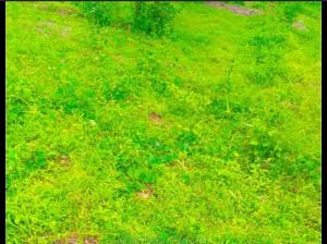 Land for sale Apo / Gaduwa, Apo Abuja