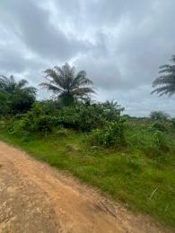 Land for sale Uyo Akwa Ibom