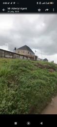 Land for sale Alakia Main Road Facing Express Road, Iwo Rd Ibadan Oyo