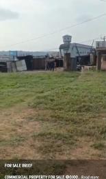 Land for sale Around Ojoo Park Ojoo Ibadan Ojoo Ibadan Oyo