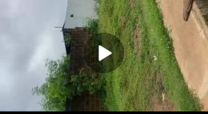 Land for sale Olorunda Akobo Ibadan Akobo Ibadan Oyo