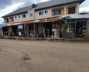 Commercial Property for sale Town Planning Close To Obasanjo Farm Ring Rd Ibadan Oyo