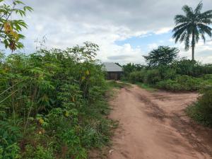 Land for sale Avu Off Ph Road Owerri Owerri Imo