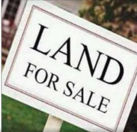 Land for sale At Royal Palm Drive By Acacia Drive Osborne Phase 2 Osborne Foreshore Estate Ikoyi Lagos