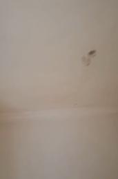 1 bedroom Flat / Apartment for rent Off Pedro Road Shomolu Lagos