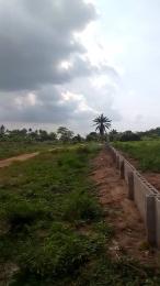 Land for sale Igbonla Community Epe Epe Road Epe Lagos