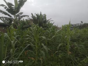 Land for sale Shalom Estate Idi Ope Junction Along Liberty Academy Road Akala Express Ibadan Oyo