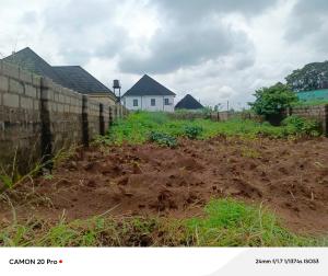 Land for sale Crown Prince Estate Orji By Rochas Foundation College. Owerri Imo