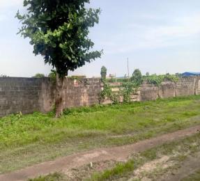 Land for sale Amuwo Odofin Amuwo Odofin Lagos