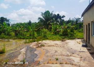 Commercial Property for sale Bako Area , Apata Apata Ibadan Oyo