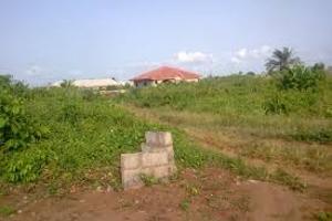 Land for rent Kuramo Close Road Old Ikoyi Ikoyi Lagos