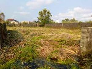 Land for rent Christ Avenue Street Lekki Phase 1 , Lagos State. Lekki Phase 1 Lekki Lagos