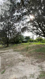 Land for rent  Banana Island Ikoyi Lagos