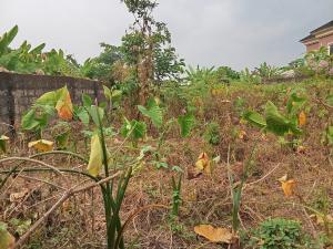 Land for sale Mabushi Abuja
