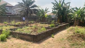 Land for sale Oko oba Agege Lagos