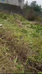 Land for sale Agric Ikorodu Lagos