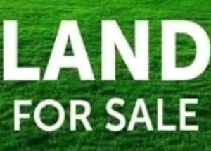 Land for sale Silver Point Estate Badore Ajah Lagos