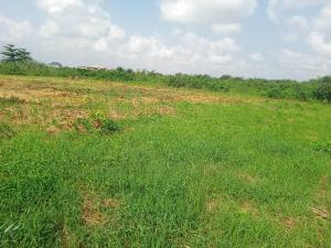 Land for sale Ifo Ogun