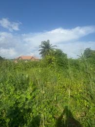 Land for sale Osongoma Estate Uyo Akwa Ibom