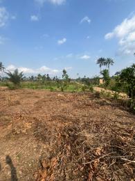 Land for sale Uyo Akwa Ibom