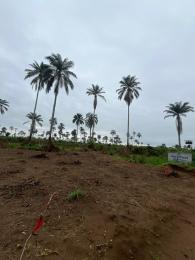 Land for sale Uyo Akwa Ibom