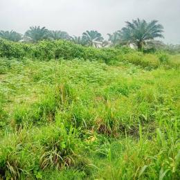 Land for sale Uyo Akwa Ibom